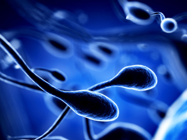 Sperma encer