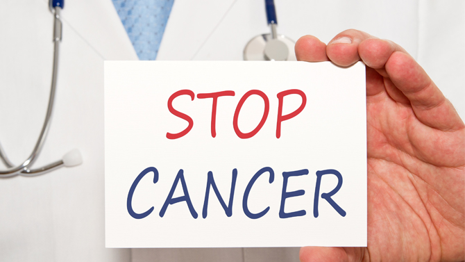 Buah Nangka Jadi Cara Aman dan Enak Cegah Serta Obati Kanker!