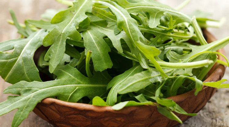 arugula-1