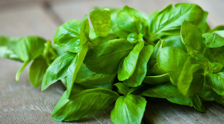 Sering Menderita Sakit Telinga? 2 Bahan Dapur Ini Solusinya