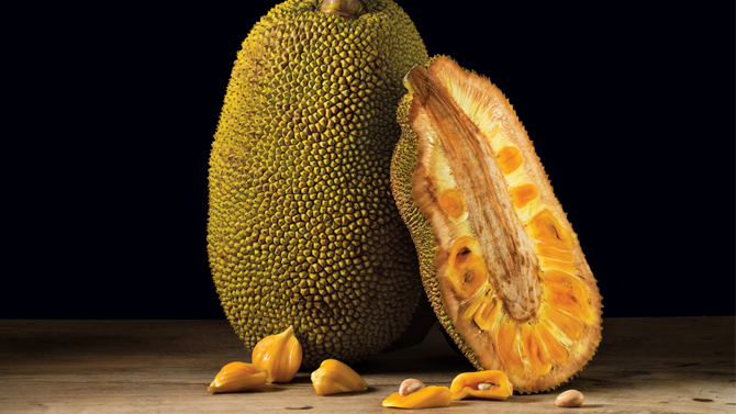 Buah Nangka Jadi Cara Aman dan Enak Cegah Serta Obati Kanker!