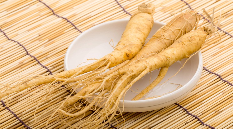 potensi ginseng