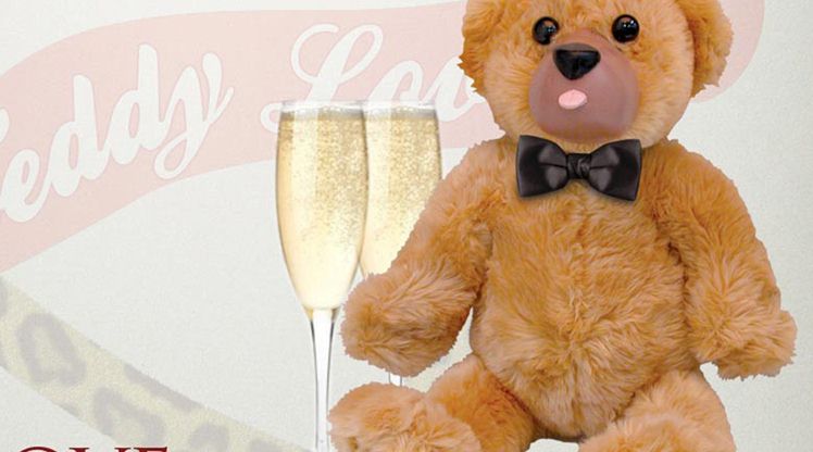 vibrator teddy bear