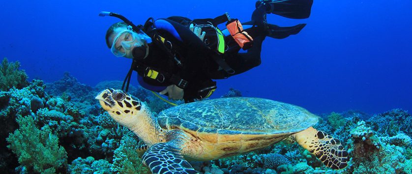 Terbaik di Dunia, Inilah 5 Destinasi Menyelam Paling Indah yang Harus Dikunjungi!